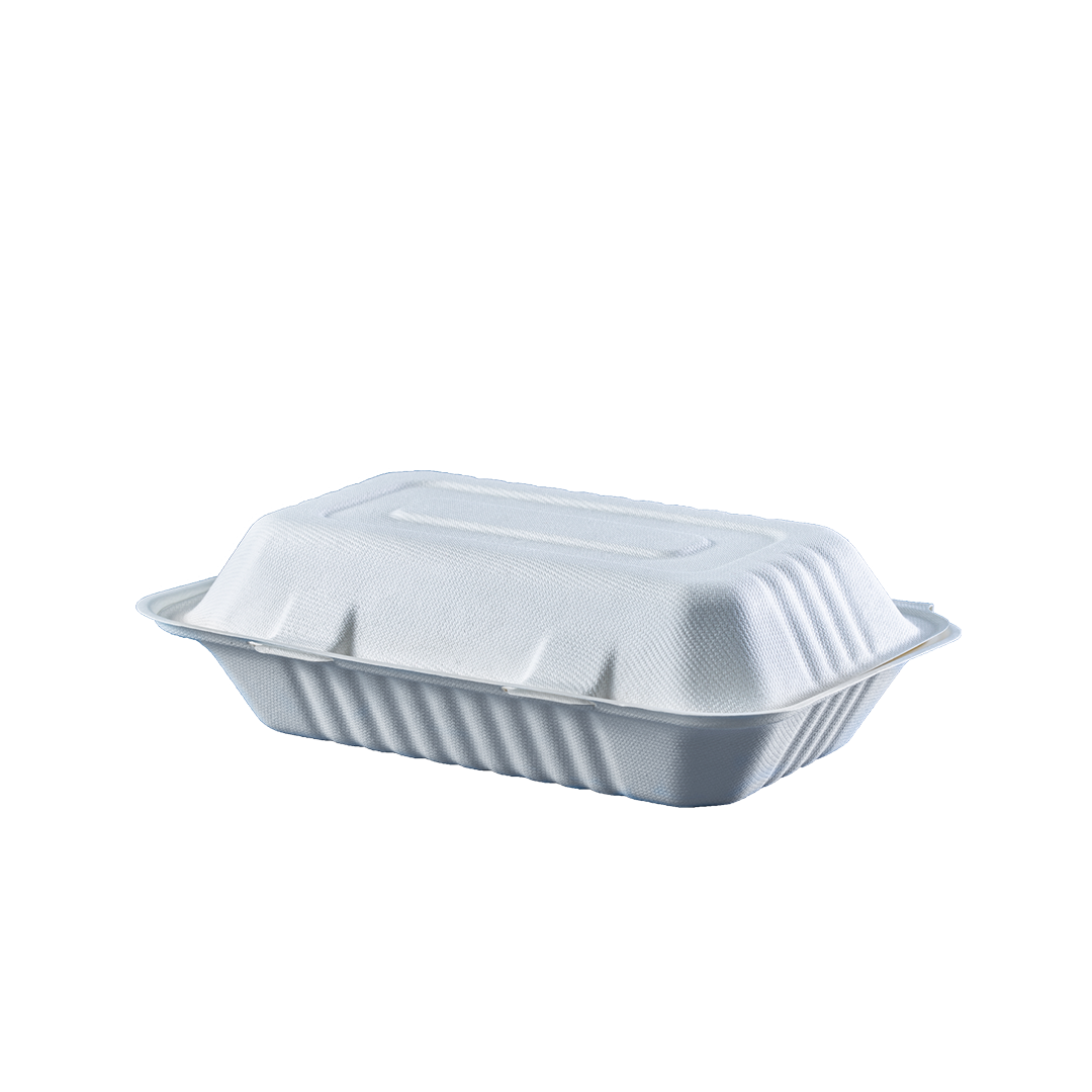Contenedor Bagazo de Caña 9×6